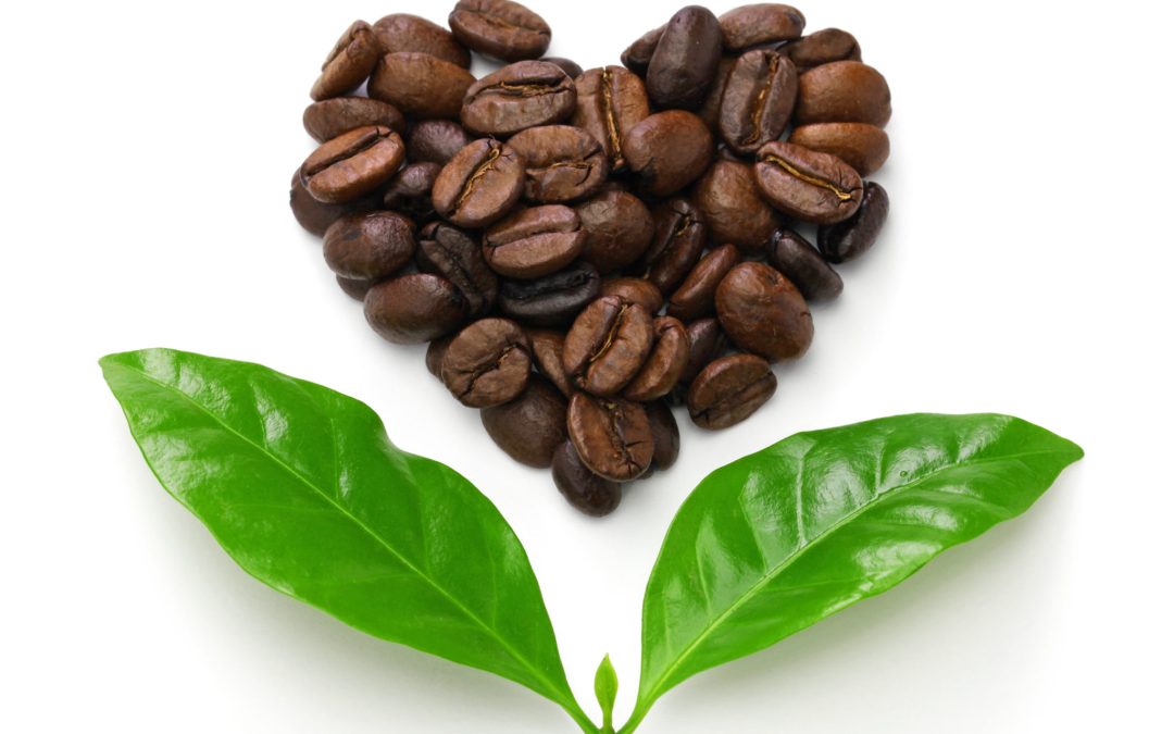 Comercio justo en vending