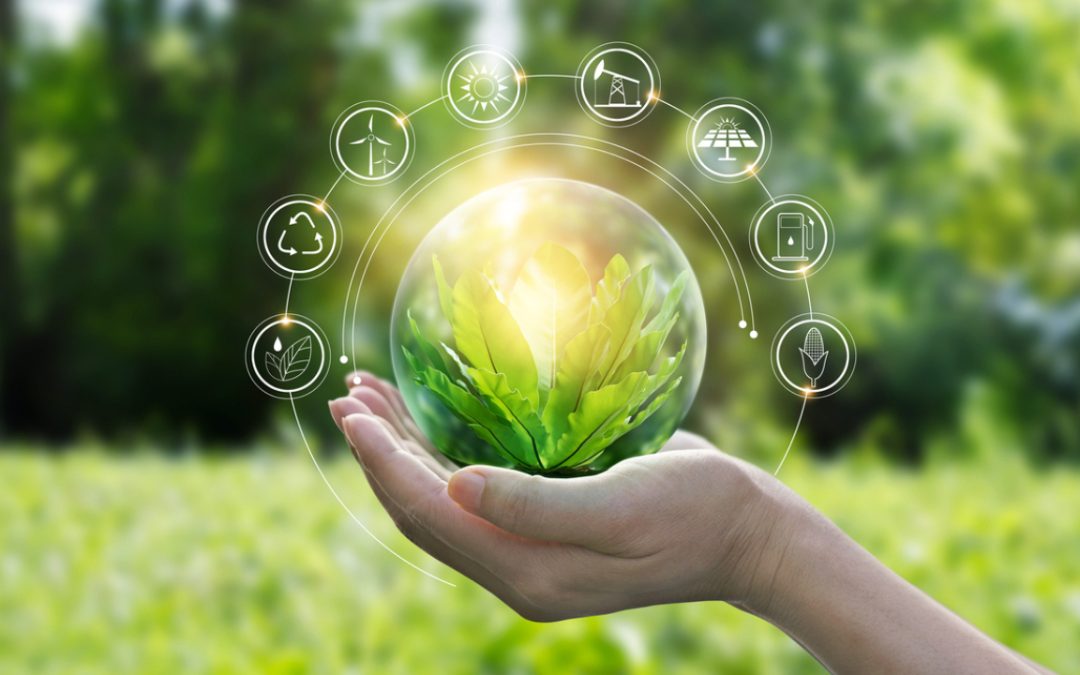En Vendival, estamos comprometidos con el cuidado del medio ambiente y sabemos que es nuestro deber contribuir en nuestros recursos naturales