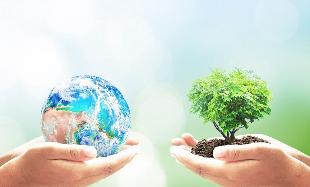 En Vendival, estamos comprometidos con el cuidado del medio ambiente y sabemos que es nuestro deber contribuir en nuestros recursos naturales