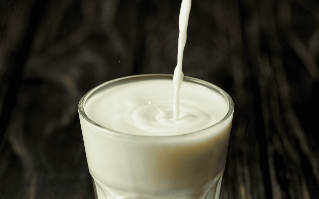 leche polvo beneficios